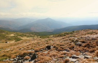 Ukrayna Karpatlarının gökyüzü ve bulutların arka planında asılı duran Hoverla Dağı manzarası