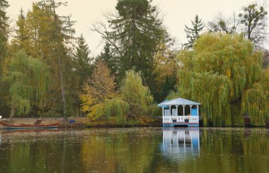 Gölü olan güzel tabiat sonbahar manzarası. Bulutlu bir günde altın sarısı yeşilliklerle sonbahar şehir parkının manzarası. Sonbahar yapraklarıyla kaplı Park 'ta yürüyüş yolları.