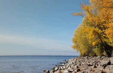 Beautiful autumn landscape with lake and multicoloral trees. Picturesque place with lake and tall trees with sunlight