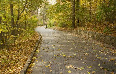 Güzel Doğa Sonbahar manzarası. Bulutlu bir günde altın sarısı yeşilliklerle sonbahar şehir parkının manzarası. Sonbahar yapraklarıyla kaplı Park 'ta yürüyüş yolları.