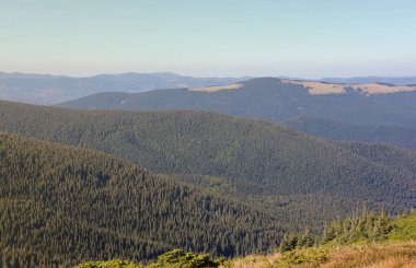 Ukrayna Karpatlarının gökyüzü ve bulutların arka planında asılı duran Hoverla Dağı manzarası