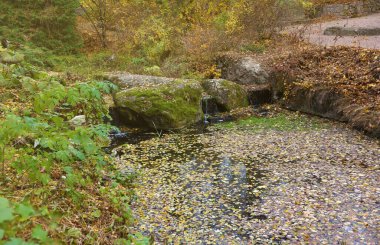 Gölü olan güzel tabiat sonbahar manzarası. Bulutlu bir günde altın sarısı yeşilliklerle sonbahar şehir parkının manzarası. Sonbahar yapraklarıyla kaplı Park 'ta yürüyüş yolları.