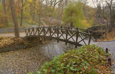 Küçük köprüsü olan güzel tabiat sonbahar manzarası. Bulutlu bir günde altın sarısı yeşilliklerle sonbahar şehir parkının manzarası. Sonbahar yapraklarıyla kaplı Park 'ta yürüyüş yolları.
