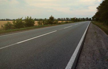 Akşam vakti boş asfalt yolu ve farklı çim ve çiçeklerden oluşan çiçek tarlası. Kenar mahalle manzarası