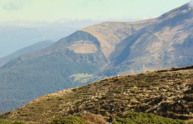Ukrayna Karpatlarının gökyüzü ve bulutların arka planında asılı duran Hoverla Dağı manzarası