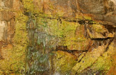 Waterfall among stones and trees. Close-up of boulders in water. Huge stones in green moss. Beautiful landscape of fast waterfall with small whirlpools around stones