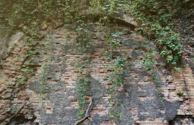 18. yüzyılın kalesinden ya da kalesinden çok eski tuğla bir duvar. Eski, kirli ve çatlak tuğlalarla dolu tam çerçeve duvar.