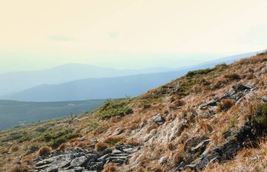 Ukrayna Karpatlarının gökyüzü ve bulutların arka planında asılı duran Hoverla Dağı manzarası