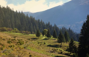 Ukrayna Karpatlarının gökyüzü ve bulutların arka planında asılı duran Hoverla Dağı manzarası