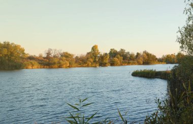 Gölü ve çok renkli ağaçlarıyla güzel bir sonbahar manzarası. Göl ve yüksek ağaçlı resimli bir yer..
