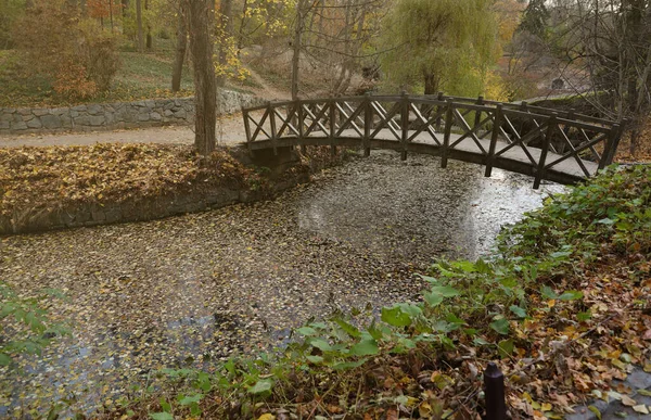 Beautiful Nature Autumn landscape with small bridge. Scenery view on autumn city park with golden yellow foliage in cloudy day. Walking paths in the city Park strewn with autumn fallen leaves