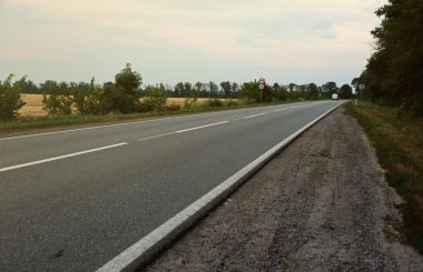 Akşam vakti boş asfalt yolu ve farklı çim ve çiçeklerden oluşan çiçek tarlası. Kenar mahalle manzarası