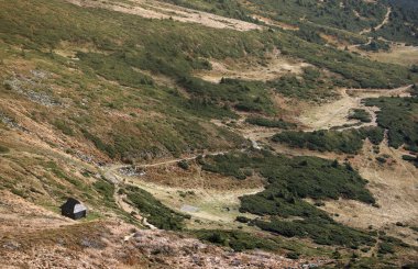 Tepedeki tek ahşap kulübe. Köknar ağaçları ve kabaca kabarık kabartmalar var. Ön planda kozalaklı orman. Turizm, seyahat, tırmanma