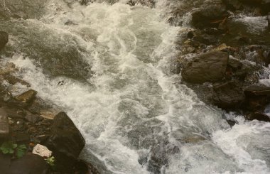 Ukrayna 'nın Hoverla dağları bölgesinde gizli bir parkta akan parlak mavi bir nehir.