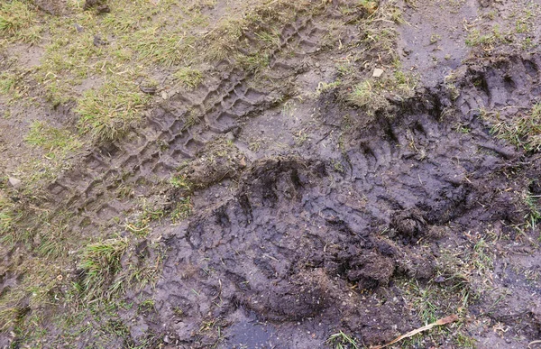 Wheel track on mud. Traces of a tractor or heavy off-road car on brown mud in wet meadow.