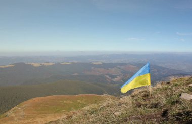 Ukrayna 'daki Hoverla dağının tepesinde Ukrayna bayrağı