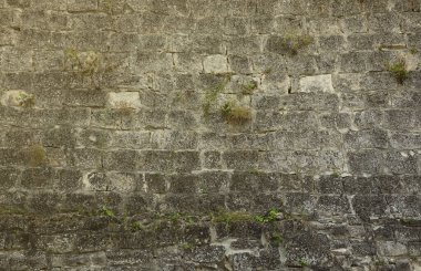 18. yüzyılın kalesinden ya da kalesinden çok eski tuğla bir duvar. Eski, kirli ve çatlak tuğlalarla dolu tam çerçeve duvar.