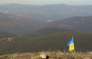 Ukrayna 'daki Hoverla dağının tepesinde Ukrayna bayrağı