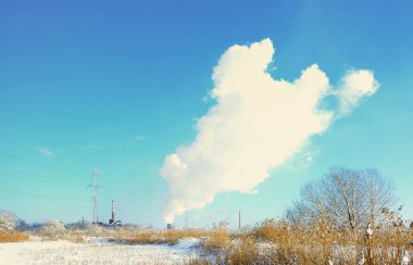 Endüstriyel Tesis karla kaplı bataklık arazi yer alır. Sarı bulrushes büyük alan