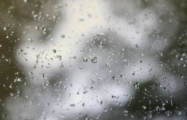 Çiçek açması yeşil ağaçların bulanık manzaralı pencere camına bir fotoğraf yağmur bırakır. Soyut resim bulutlu ve yağmurlu hava koşulları gösterilen