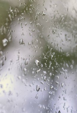 Çiçek açması yeşil ağaçların bulanık manzaralı pencere camına bir fotoğraf yağmur bırakır. Soyut resim bulutlu ve yağmurlu hava koşulları gösterilen