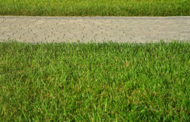 Güzel bir yeni geçit Parke taş yeşil çimlerin arasında yer alır