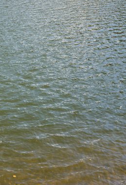 Kirli nehir su doku. Kirlilik kaynakları sonuçları