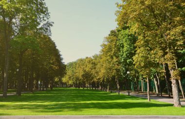 Yeşil ve turuncu güzel park ağaçlarda. Çiçek ve doğal sonbahar manzara