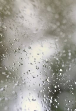 Çiçek açması yeşil ağaçların bulanık manzaralı pencere camına bir fotoğraf yağmur bırakır. Soyut resim bulutlu ve yağmurlu hava koşulları gösterilen