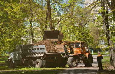 Şehir geliştirme ekibi bir ekskavatör ve bir kamyon ile parkta düşen yapraklar kaldırır. Eğlence için halka açık yerlerde geliştirmeye yönelik düzenli mevsimlik çalışma.