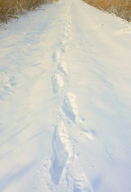 Bir sürü insan parçaları bırak mesafe içine karla kaplı yolda