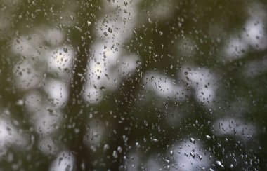 Çiçek açması yeşil ağaçların bulanık manzaralı pencere camına bir fotoğraf yağmur bırakır. Soyut resim bulutlu ve yağmurlu hava koşulları gösterilen