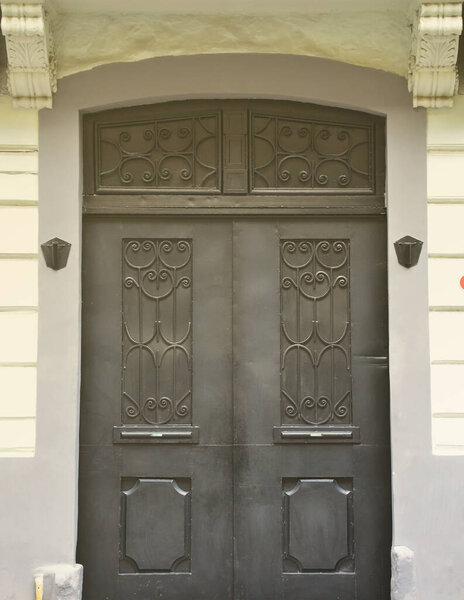 The texture of the modern metal door is black. Outdoor view