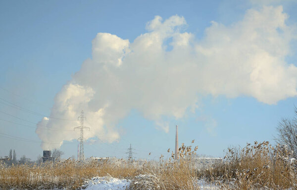 The industrial plant is located behind the swampy terrain, covered with snow. Large field of yellow bulrushes