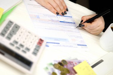 Muhasebeci Fransız vergi formunu doldurdu. 10963 Değer katma vergisi ve vergi döneminin sonunda benzer vergiler. Fransa 'da vergilendirme ve evrak işleri