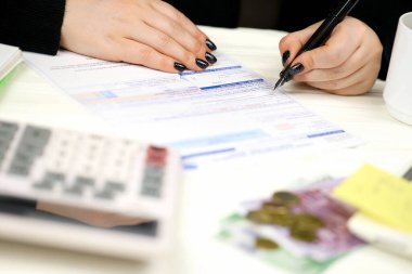 Muhasebeci Fransız vergi formunu doldurdu. 10963 Değer katma vergisi ve vergi döneminin sonunda benzer vergiler. Fransa 'da vergilendirme ve evrak işleri