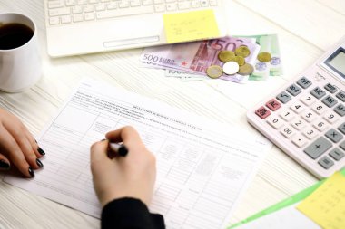 Muhasebeci, vergi beyannamesi için 2041-E formunu doldurdu. Fransa 'da vergilendirme ve evrak işleri