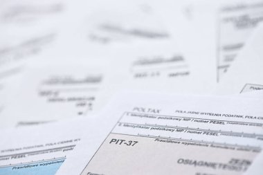 PIT, CIT ve KDV kategorileriyle birlikte çok büyük miktarda cila vergi formu boşluğu. Polonya 'da muhasebe, bürokrasi ve vergi mükellefleri rutini