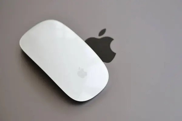 Kyiv Ukraine Novembre 2023 Apple Magic Mouse Génération Trouve Avec — Photo
