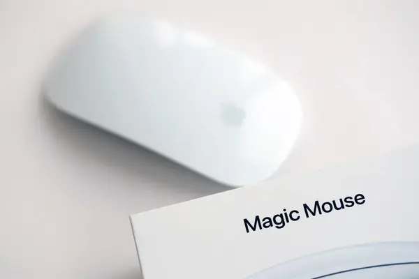 Kyiv Ukraine Novembre 2023 Apple Magic Mouse Génération Repose Sur — Photo
