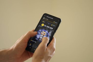 KYIV, UKRAINE - 20 Haziran 2024 Hamster Kombat 2 akıllı telefon ekranında küçük bir oyun kazandı.