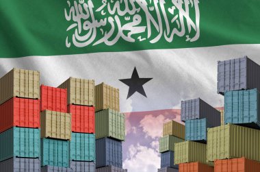 Somaliland bayrağı ve yükleme konteynırları rıhtımlarda ve gökyüzü arka planında kapalı.