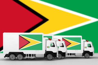 Beyaz minibüsün yan duvarında Guyana bayrağı tasvir edilmiş. Nakliye ve yerel teslimat kavramı