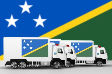 Solomon Adaları bayrağı beyaz minibüsün yan duvarında resmedilmiş. Nakliye ve yerel teslimat kavramı