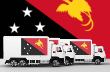 Beyaz minibüsün yan duvarında Papua Yeni Gine bayrağı tasvir edilmiş. Nakliye ve yerel teslimat kavramı