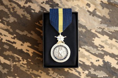 KYIV, UKRAINE - 10 Temmuz 2024 ABD Donanması Seçkin Hizmet Madalyası. Birleşik Devletler askeri madalyası, kurdele ve broşla. El yapımı kağıt tiyatro dekorları yakın plan.