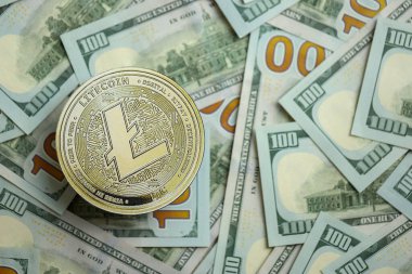 KYIV, UKRAINE - 17 AĞUSTOS 2024 Litecoin LTC büyük miktardaki 100 ABD Doları 'na yakın.