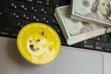 KYIV, UKRAINE - 17 AĞUSTOS 2024 DOGE Meme madeni parası ve dizüstü bilgisayarda yüklü miktarda Amerikan doları.