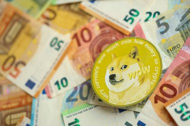 KYIV, UKRAINE - 17 AĞUSTOS 2024 DOGE Meme madeni para büyük miktarda avroya yakın