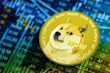 KYIV, UKRAINE - 17 AĞUSTOS 2024 DOGE Meme madeni para kripto para işlem grafiği üzerinde farklı renkte hesaplamalar yakın çekim